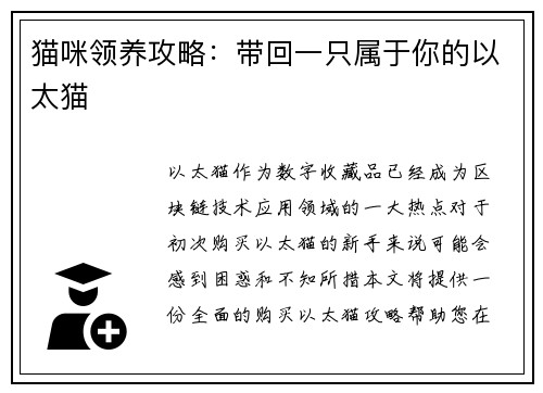 猫咪领养攻略：带回一只属于你的以太猫